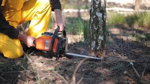 Best Commercial Tree Services  in Crosby, MN