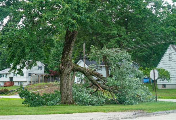 Best Utility Line Clearance  in Crosby, MN